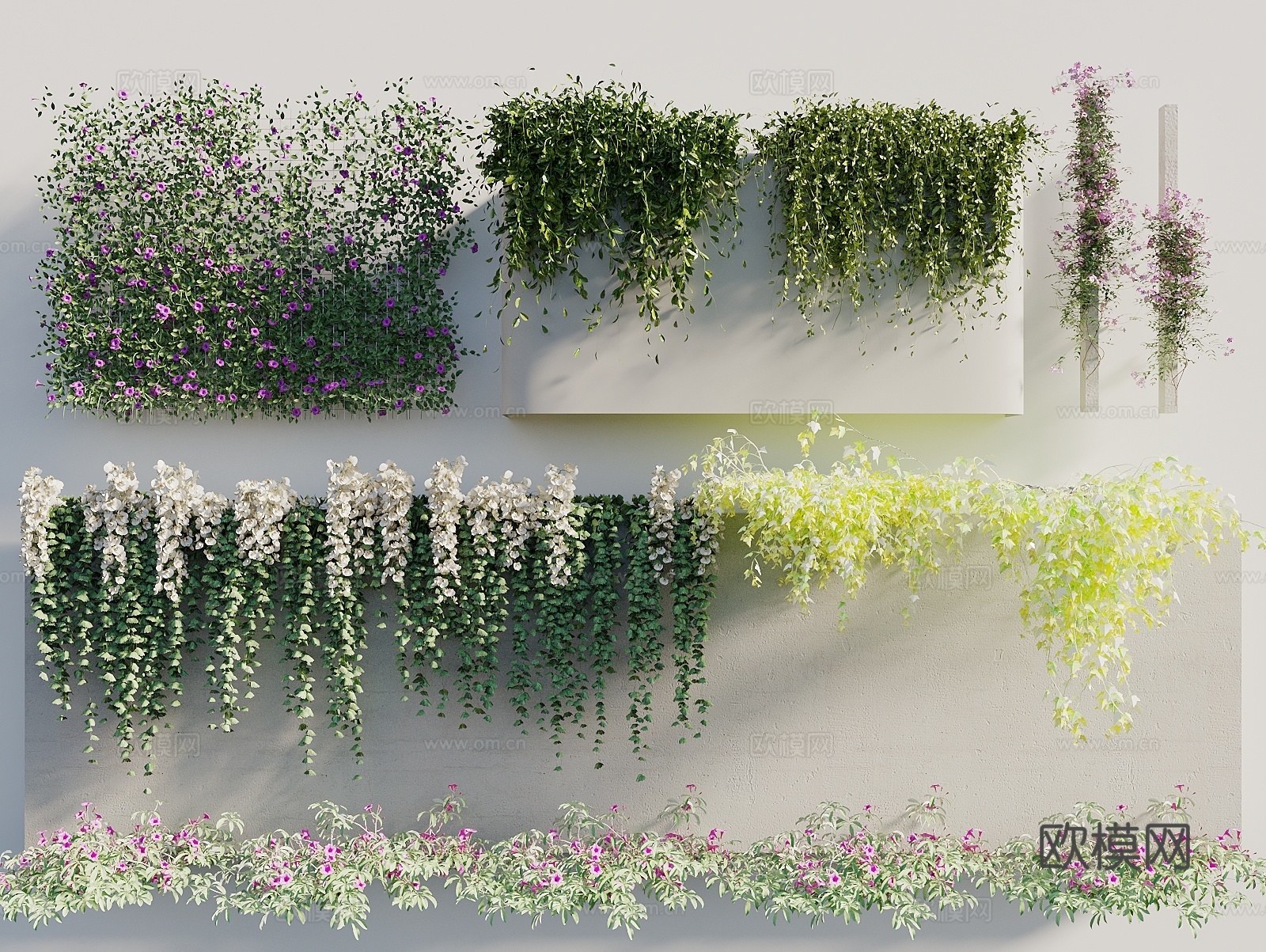 现代藤蔓 景观藤曼 绿植墙 绿植爬藤 藤蔓月季 爬山虎 爬藤3d模型