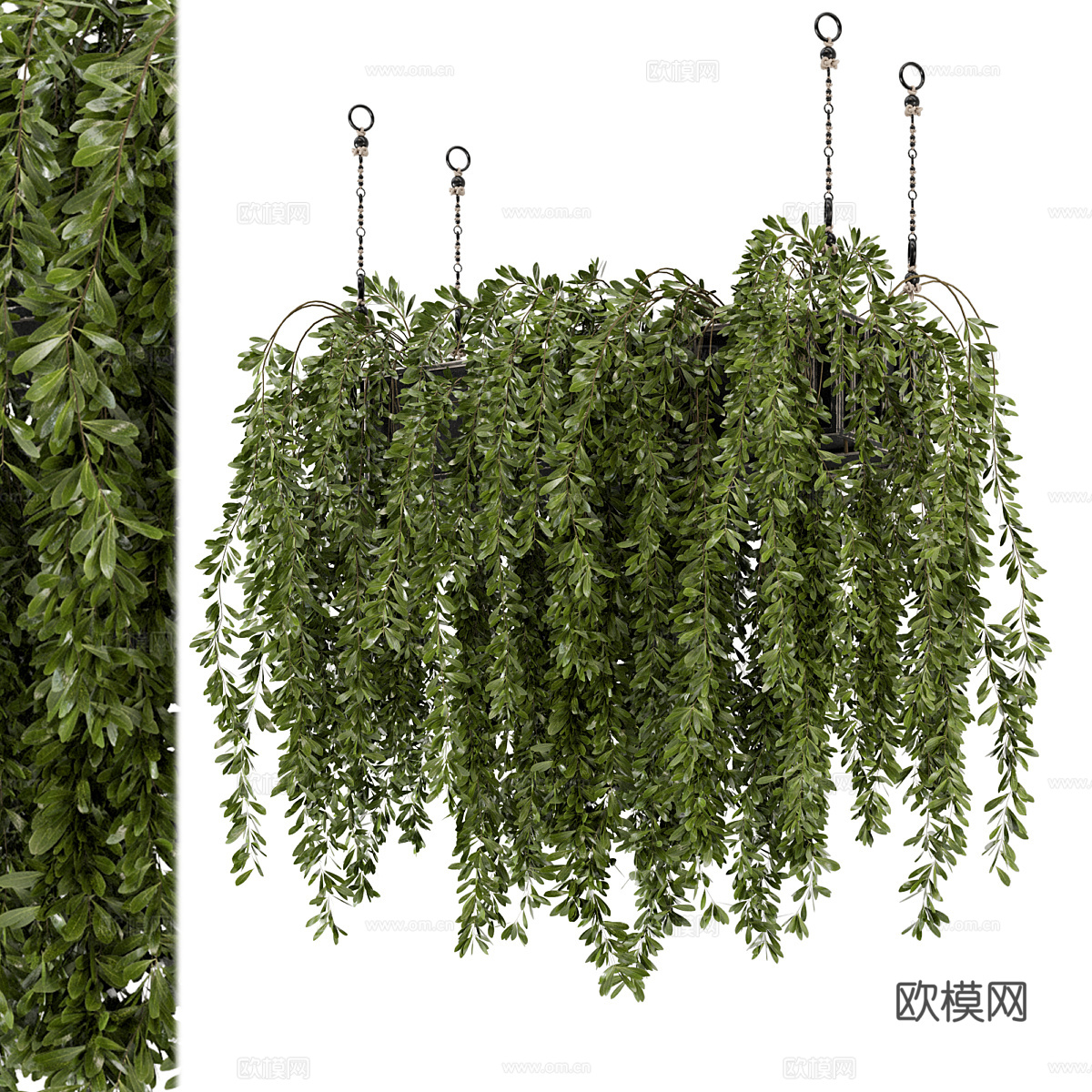 现代悬挂绿植 吊兰3d模型