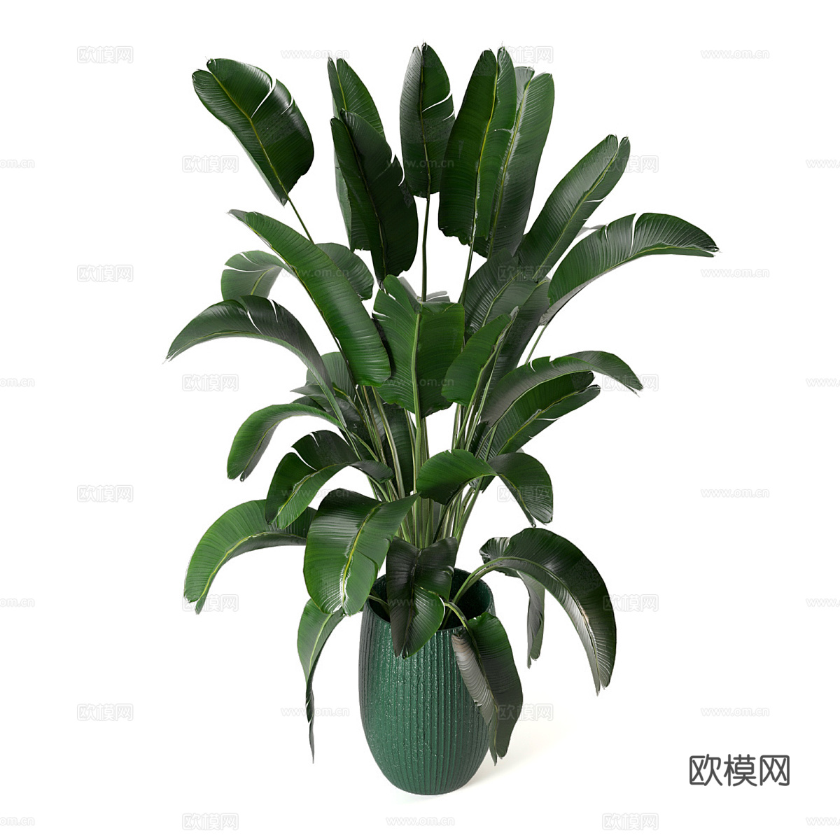 新中式绿植盆栽3d模型