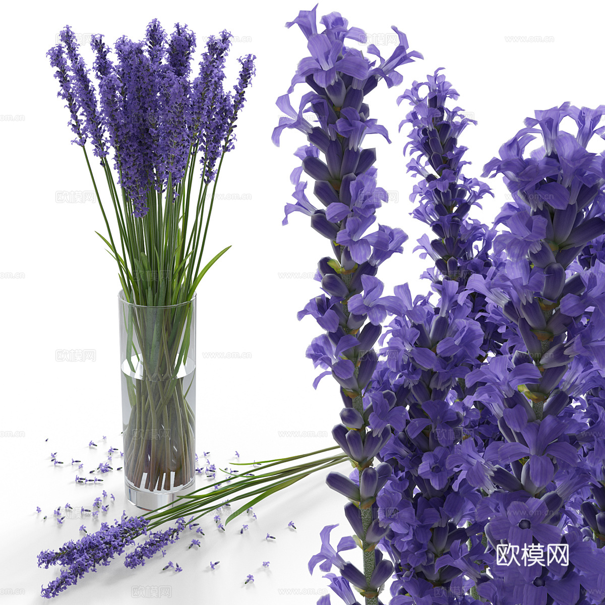现代薰衣草花瓶花艺3d模型