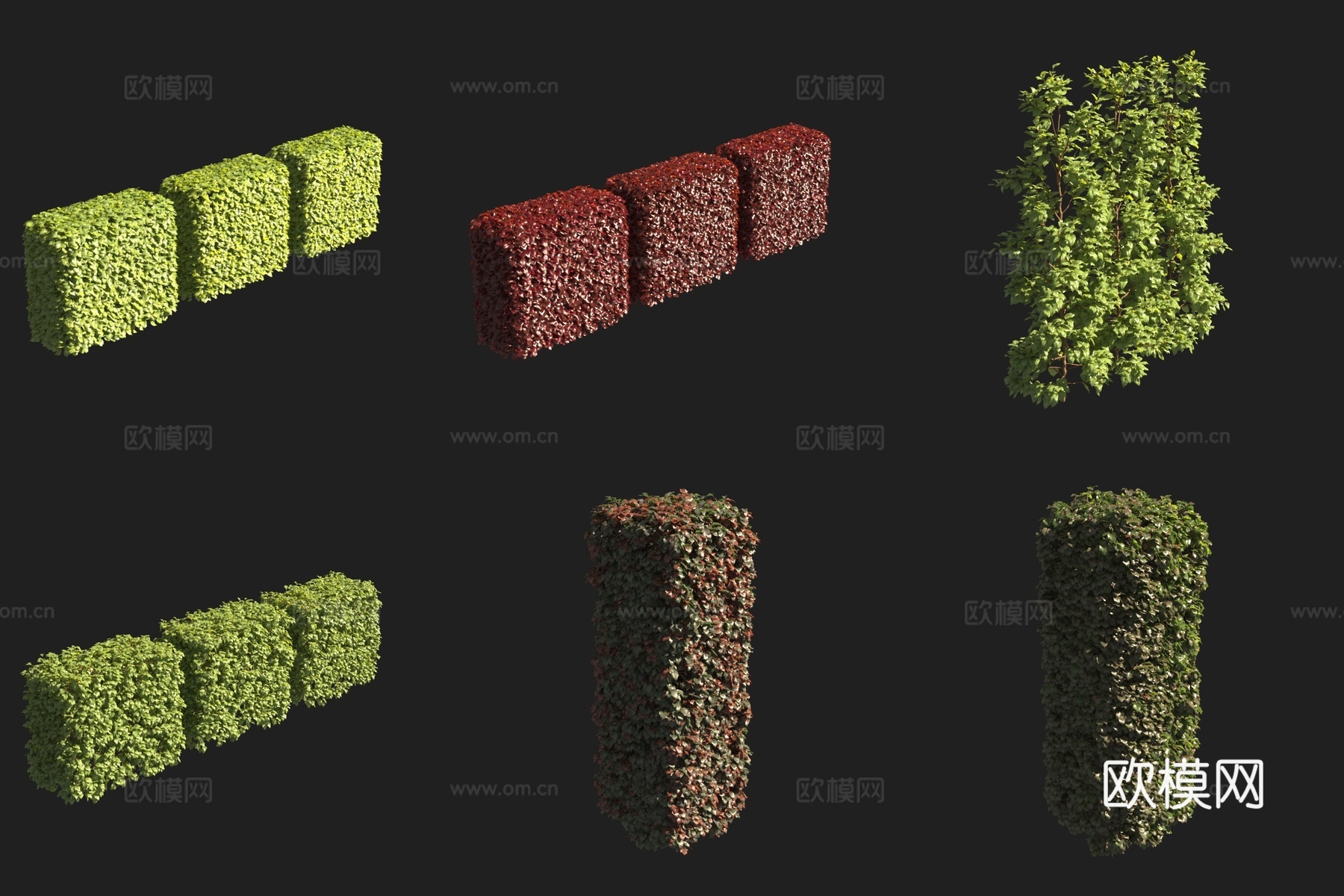 绿篱灌木3d模型