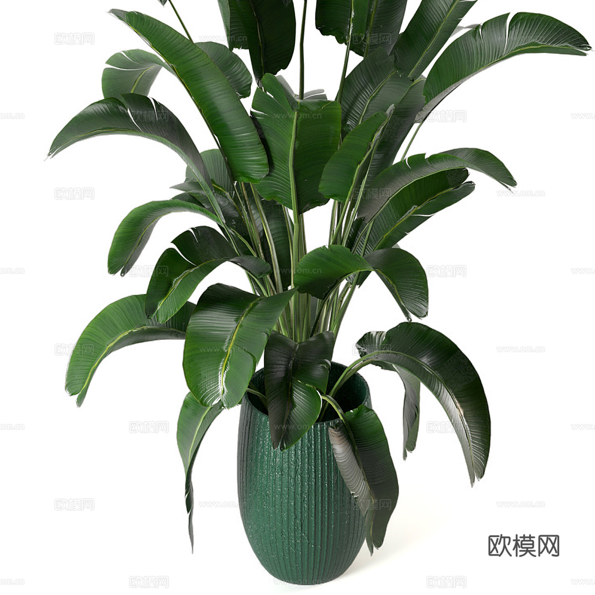 新中式绿植盆栽3d模型