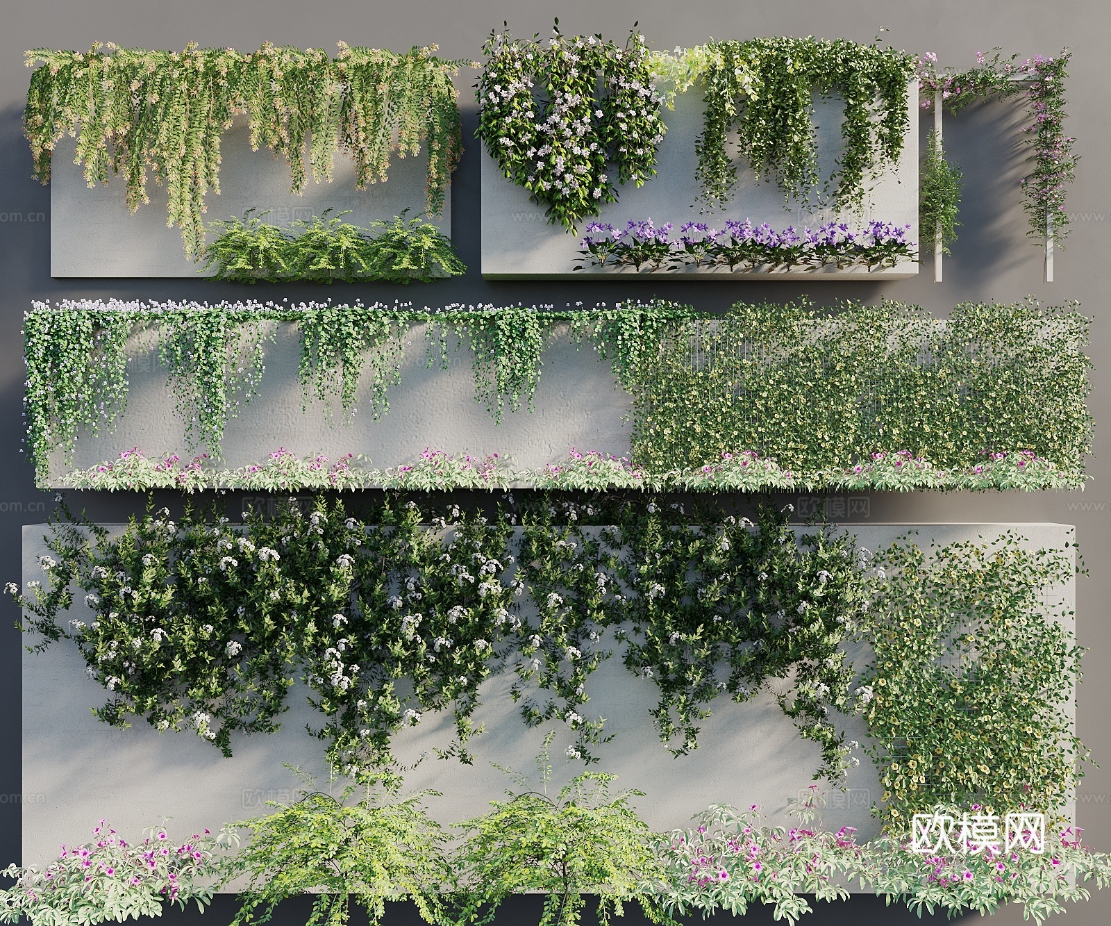 现代藤蔓 景观藤曼 绿植墙 绿植爬藤 藤蔓月季 爬山虎 爬藤3d模型