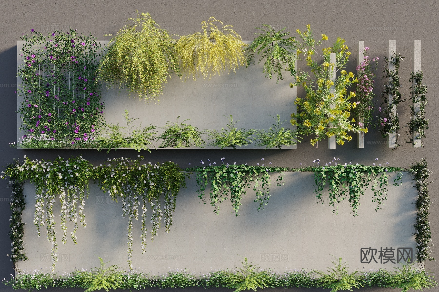 现代藤蔓 景观藤曼 绿植墙 绿植爬藤 藤蔓月季 爬山虎 爬藤3d模型