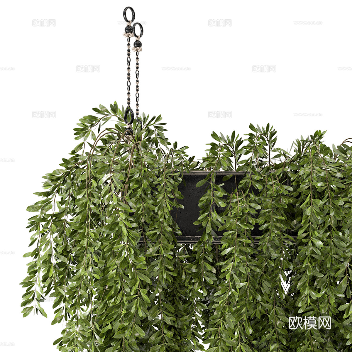 现代悬挂绿植 吊兰3d模型