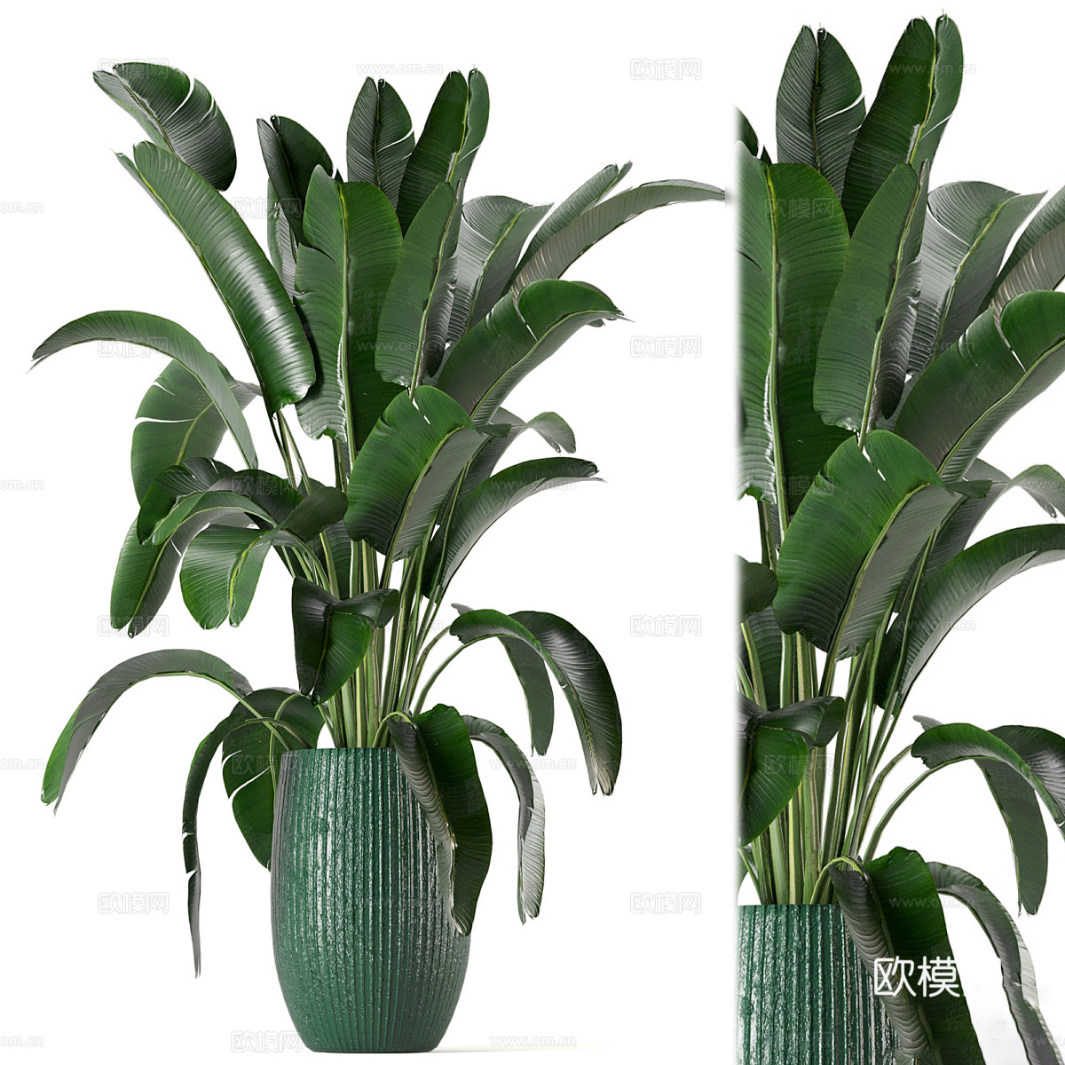 新中式绿植盆栽3d模型