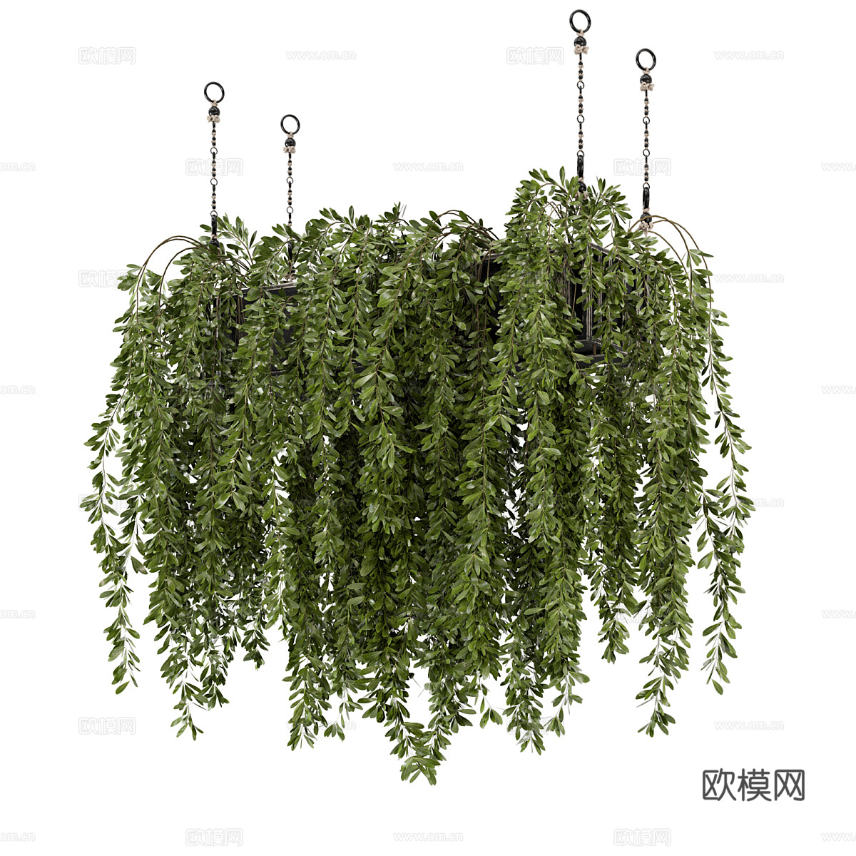现代悬挂绿植 吊兰3d模型