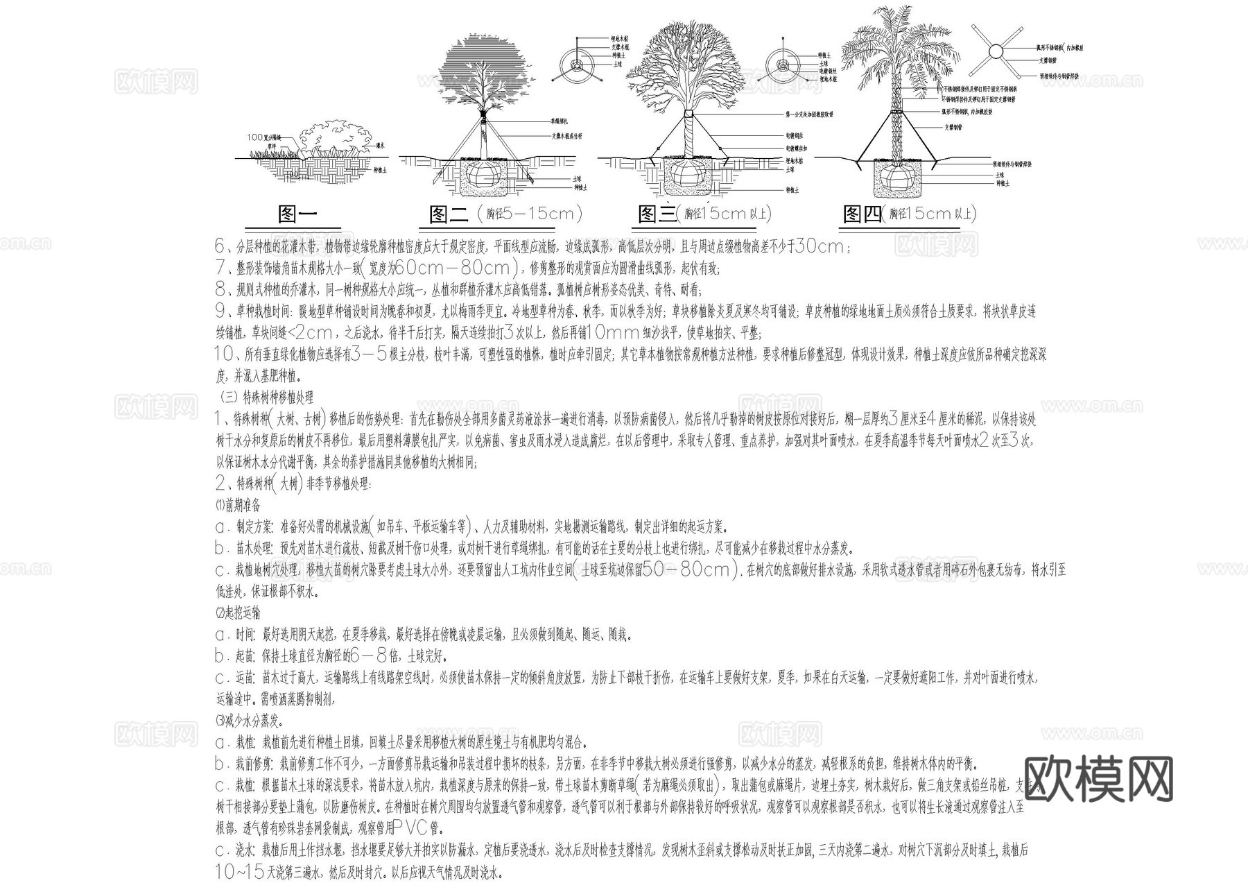 绿化种植设计说明图库cad施工图