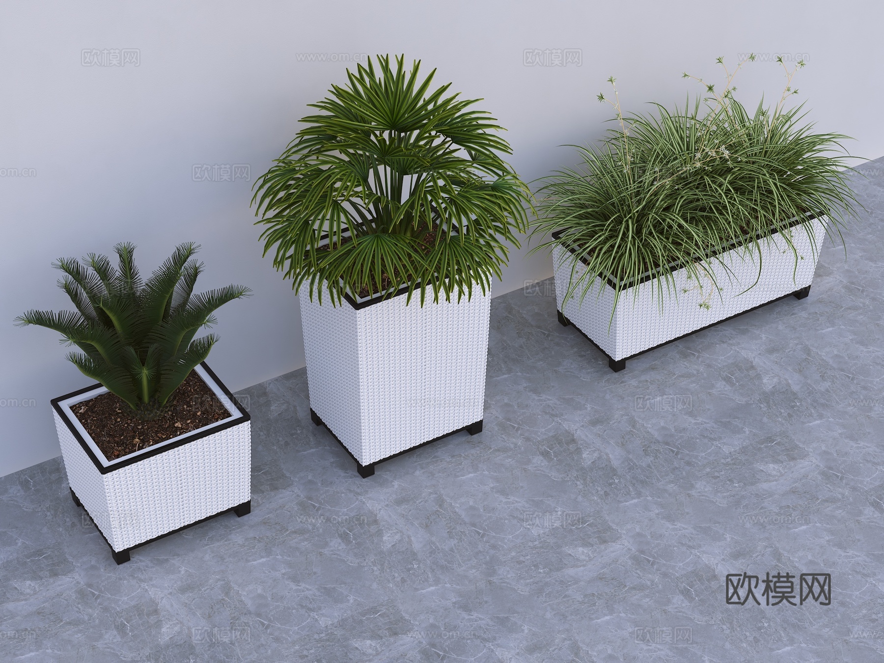 盆栽 植物盆景3d模型