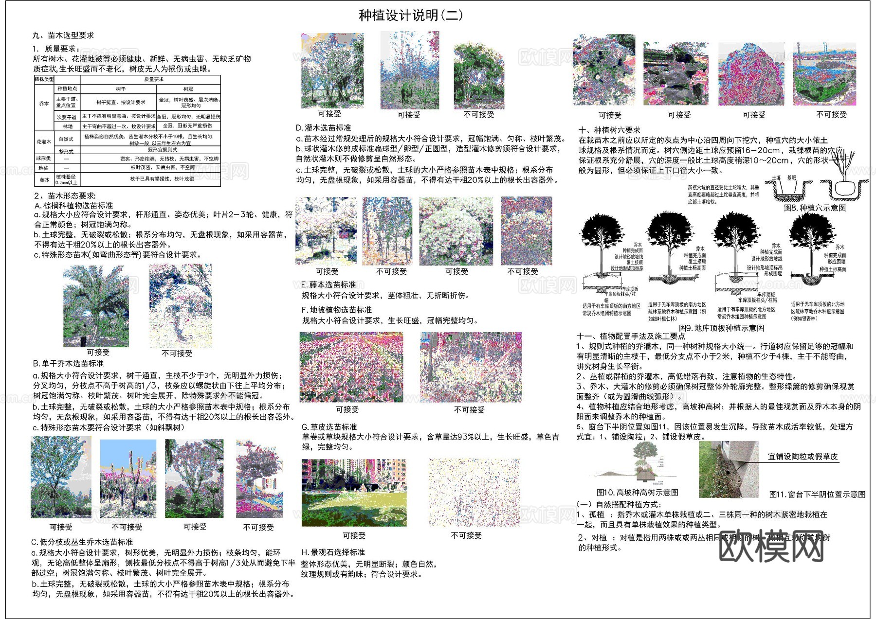 园林绿化设计说明图库cad施工图