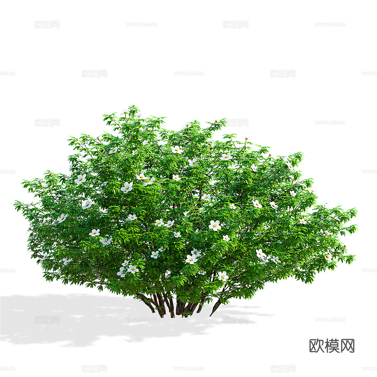现代绿植花草3d模型