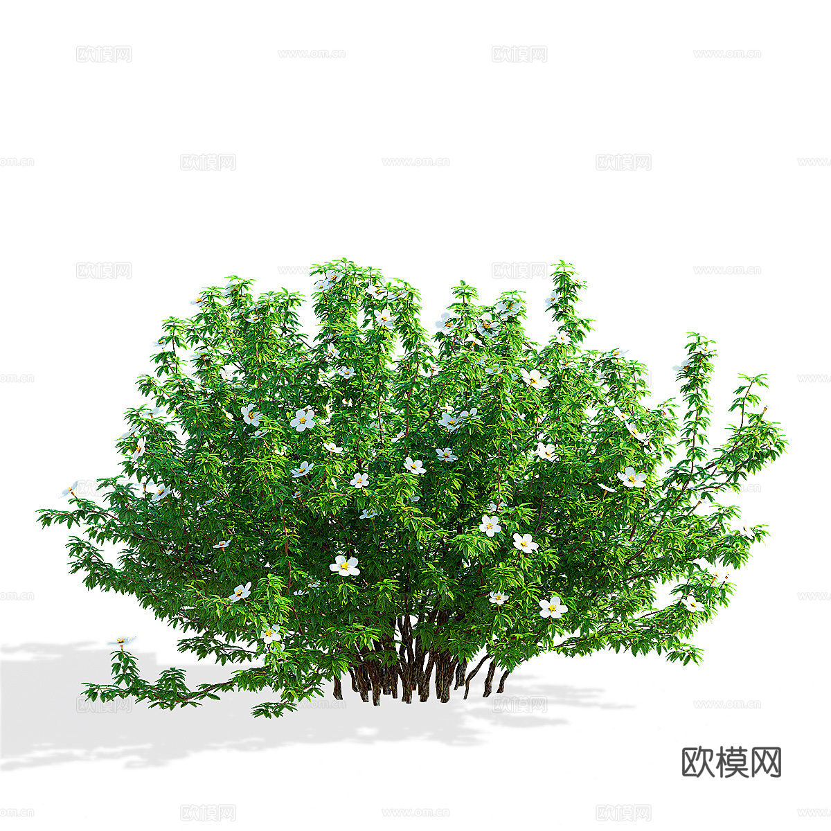 现代绿植花草3d模型