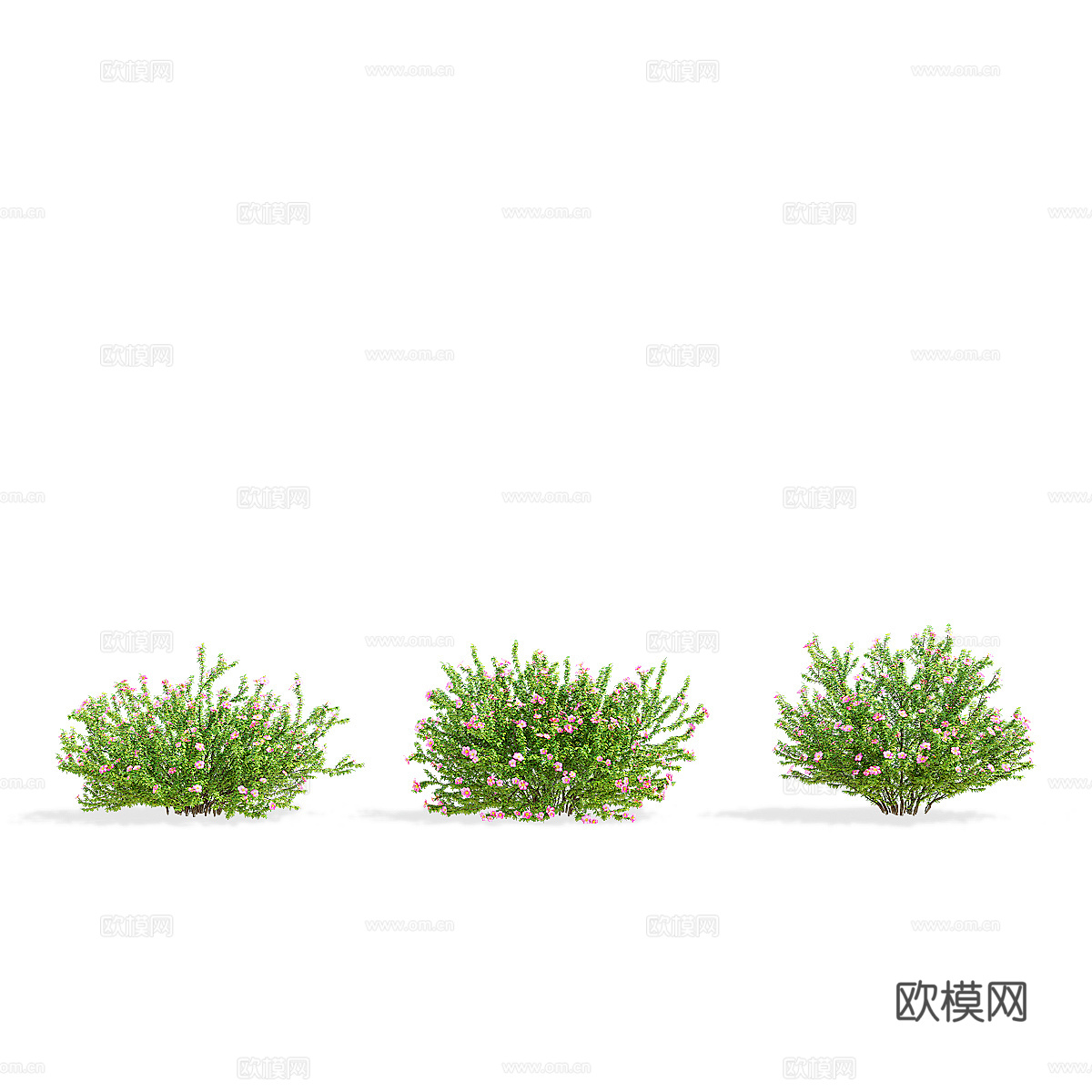 现代绿植花草3d模型