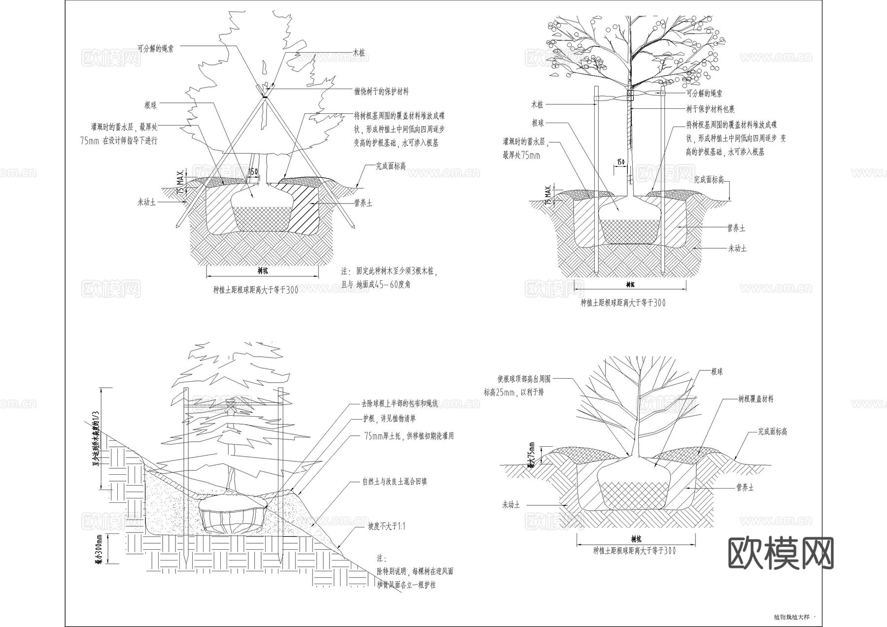 种植说明大样图cad施工图
