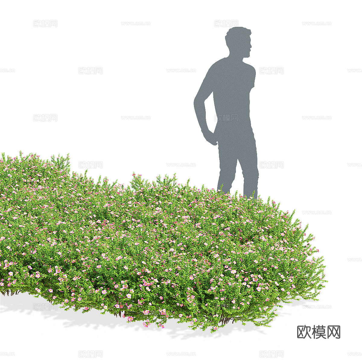 现代绿植花草3d模型