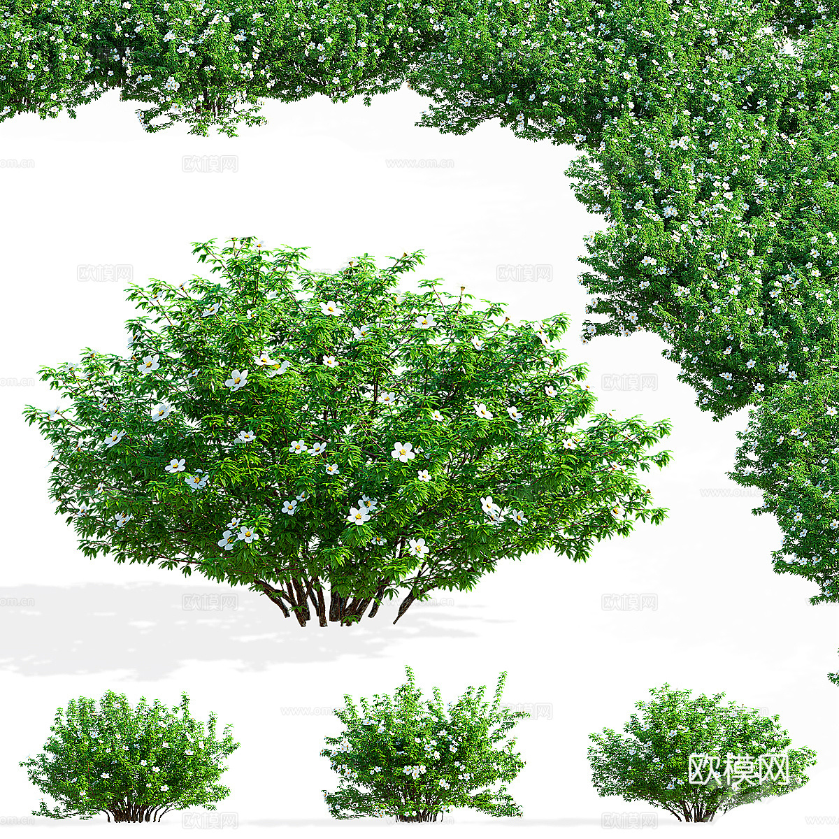 现代绿植花草3d模型