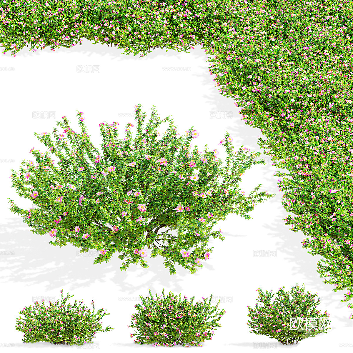 现代绿植花草3d模型