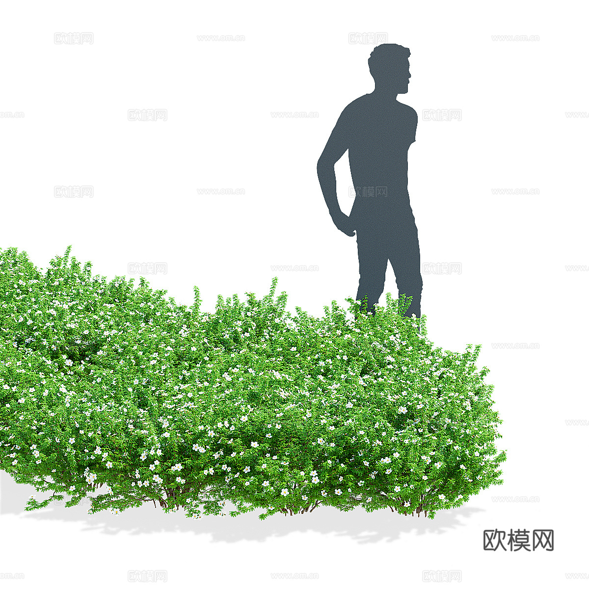 现代绿植花草3d模型