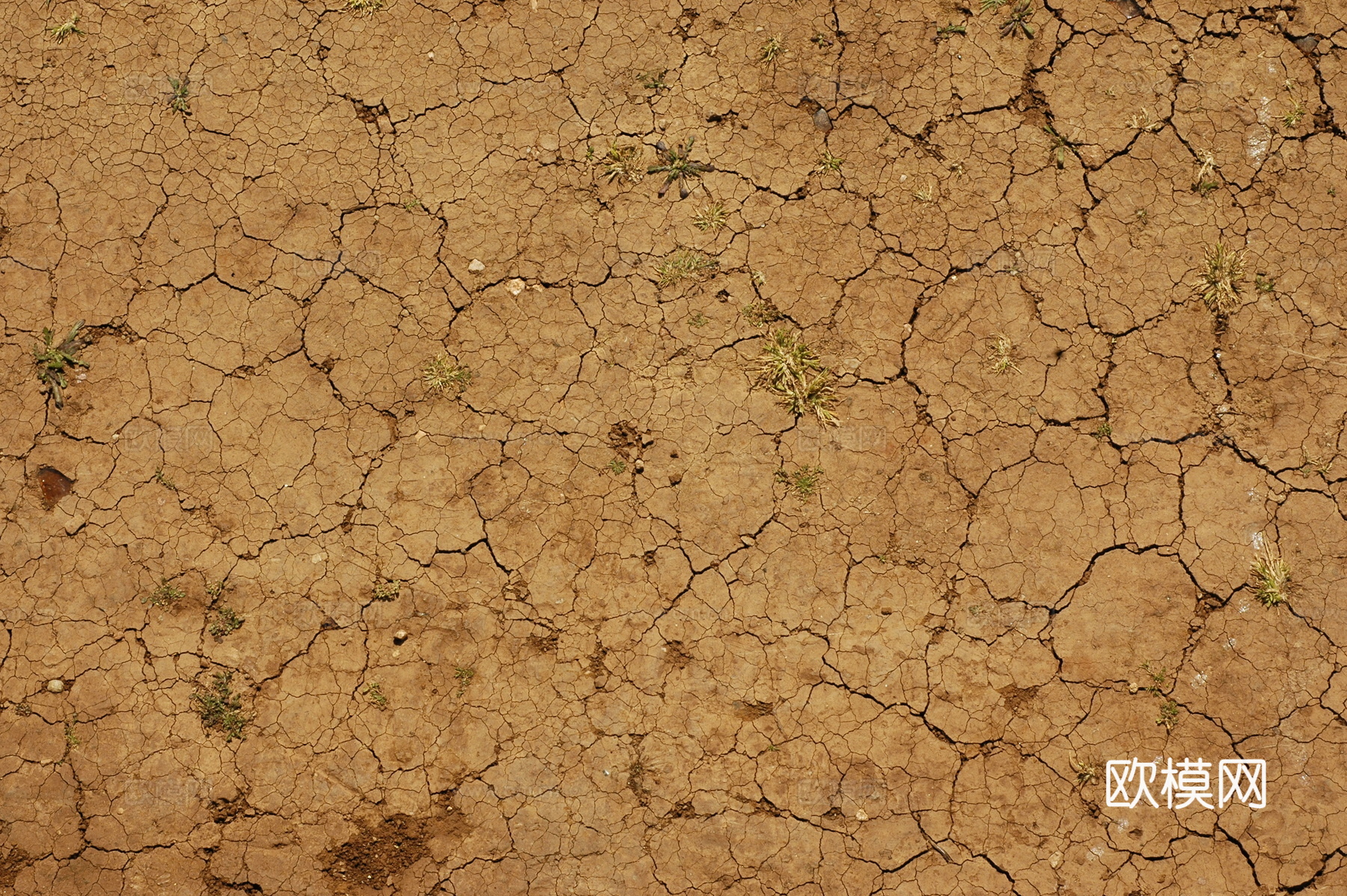 裂纹泥土地面下载