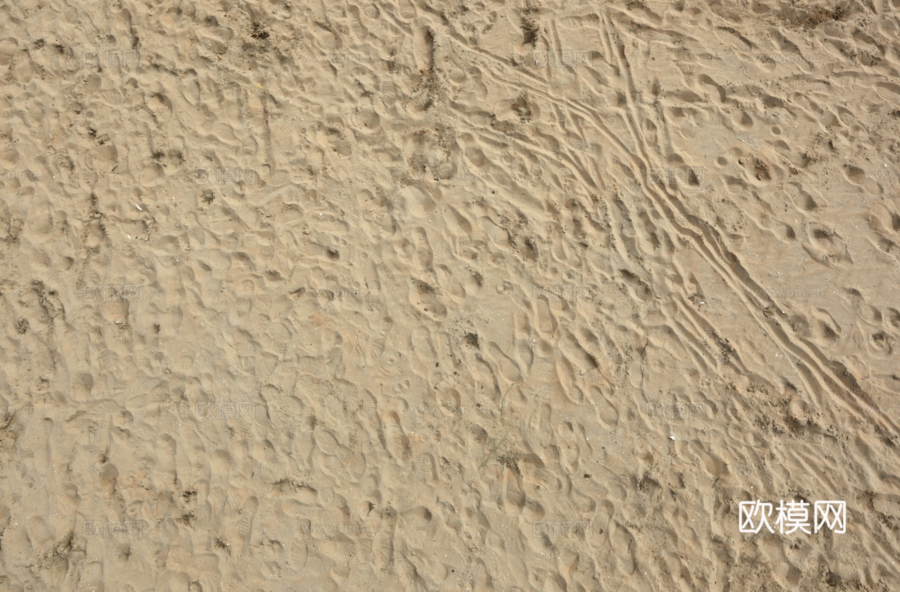 海滩沙滩下载