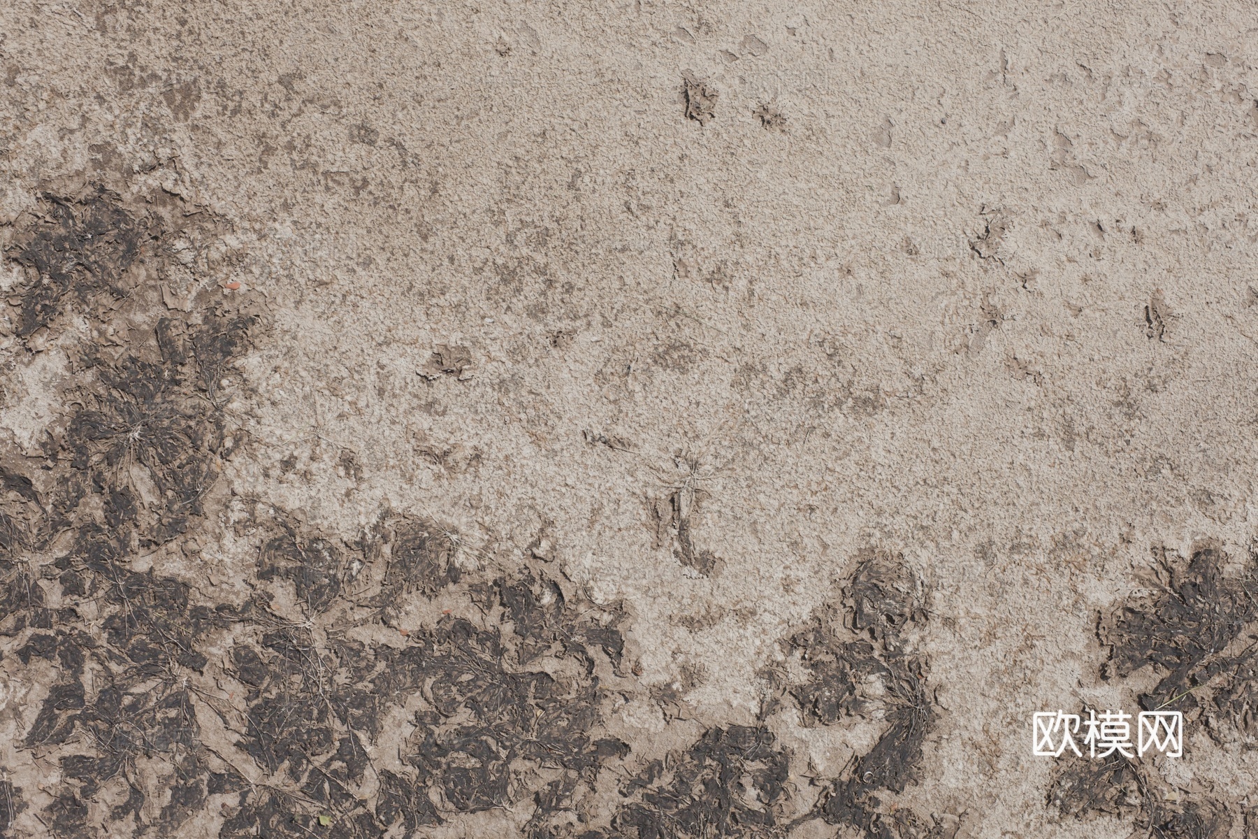 裂纹泥土地面下载