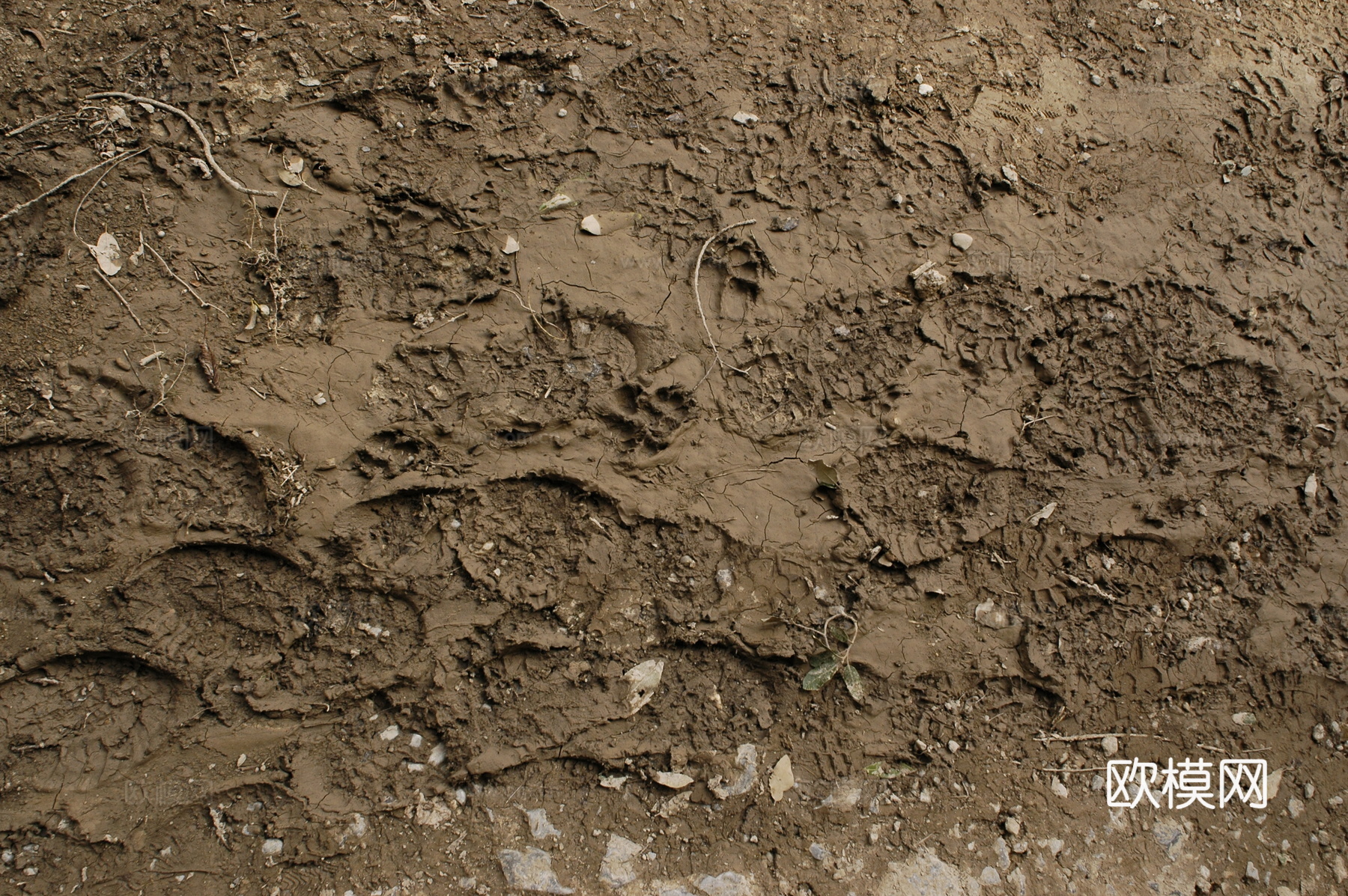 泥巴地面 地面下载