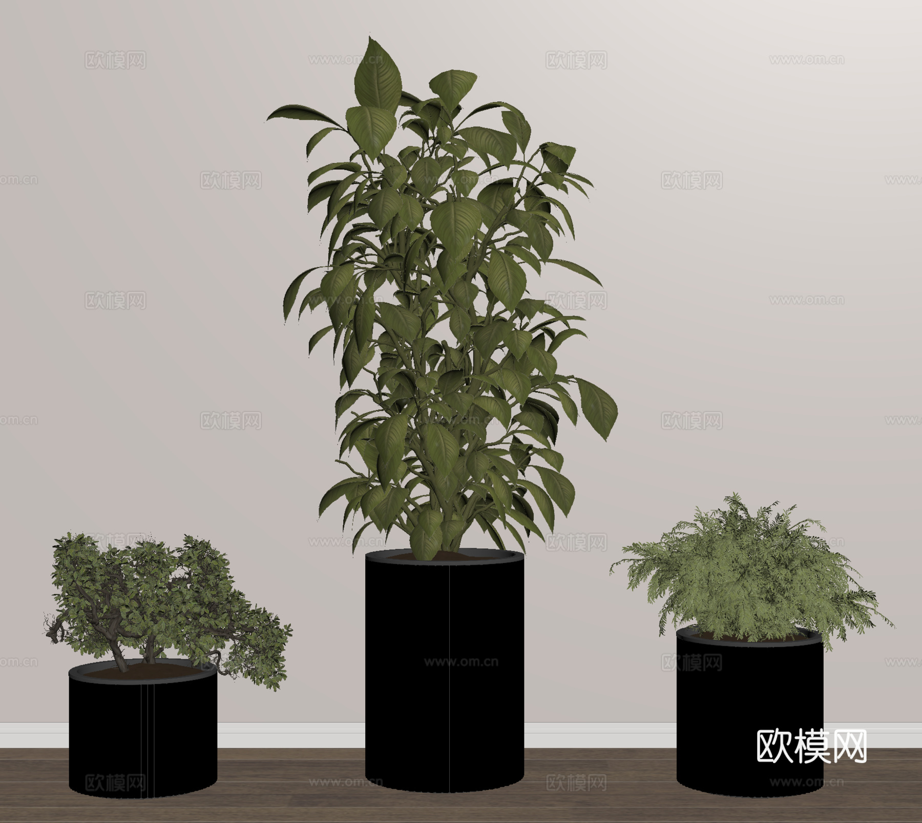 盆栽 盆景 绿植 植物su模型