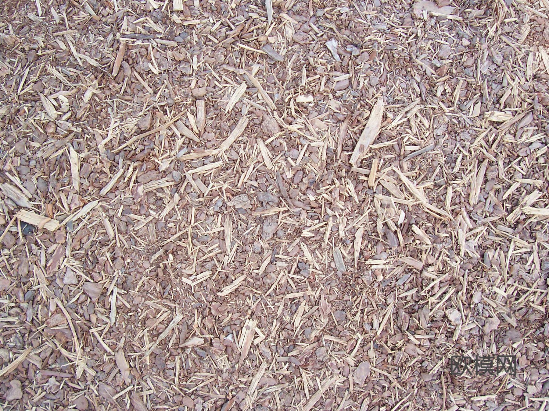 草皮地面 草皮草坪