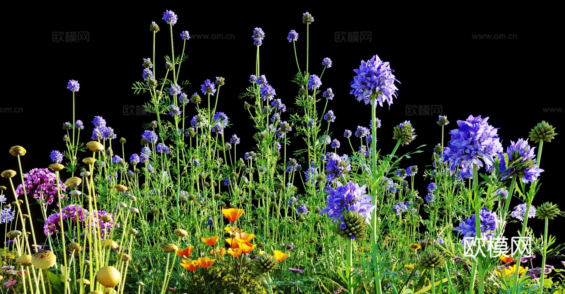 灌木 花草3d模型