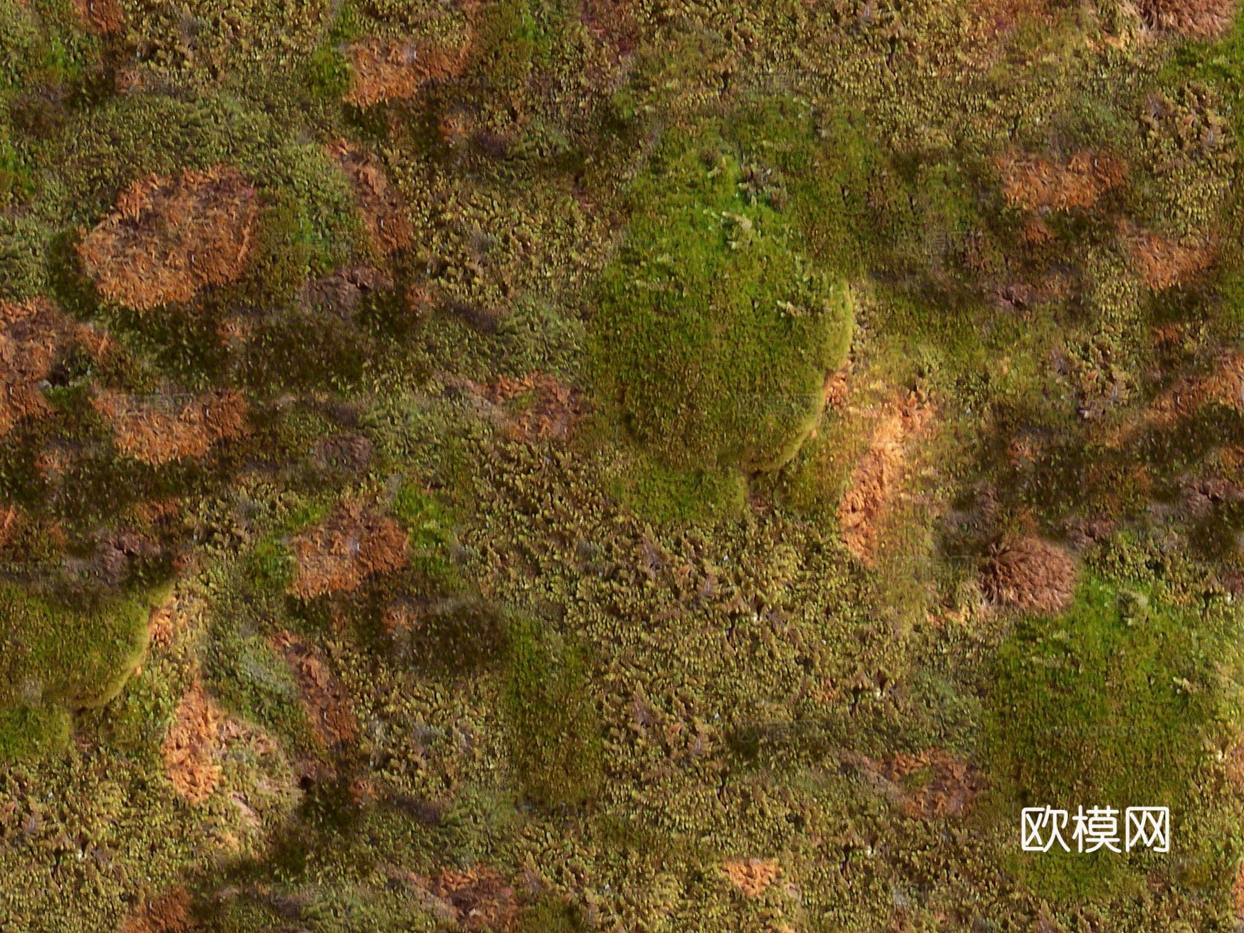 草皮地面 草皮草坪下载