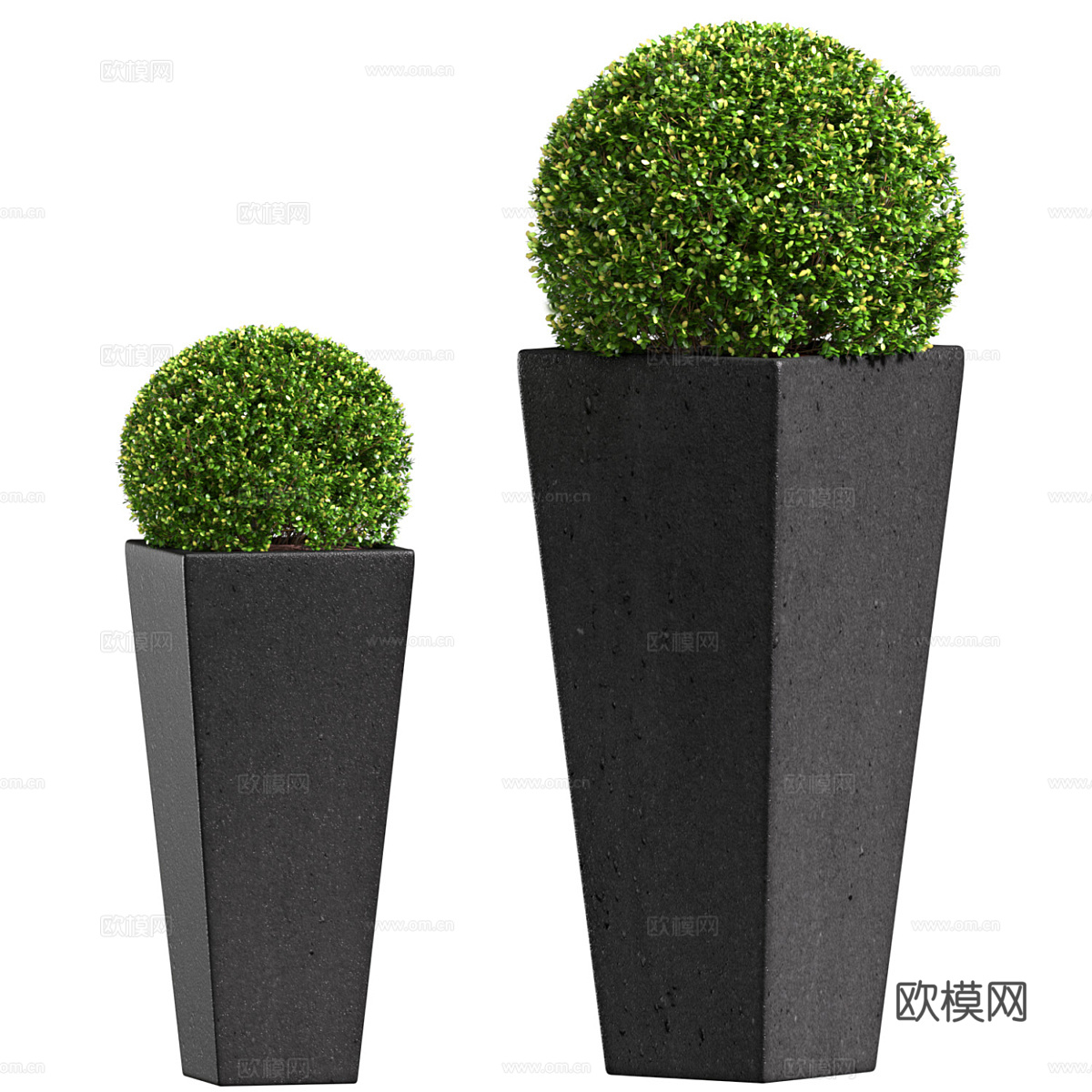 现代意式户外黄杨木盆栽3d模型