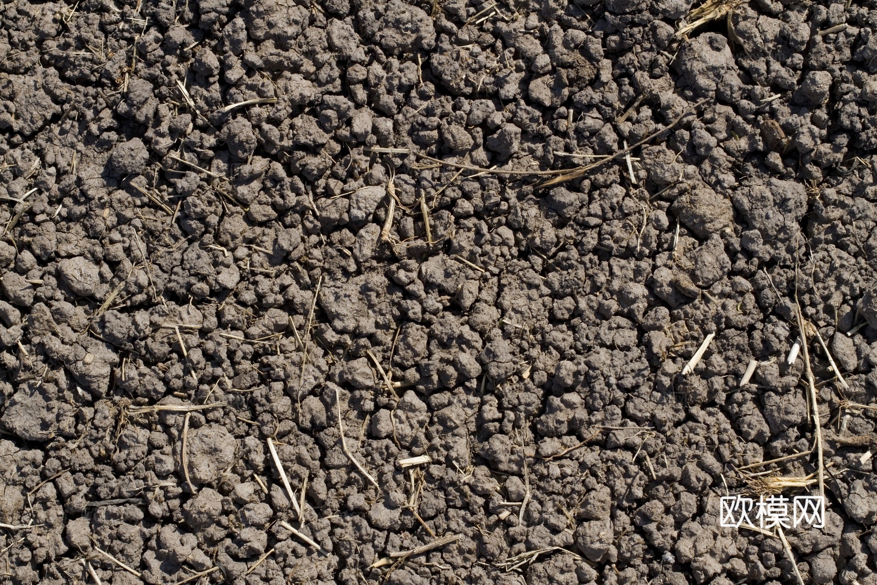 裂纹泥土地面下载