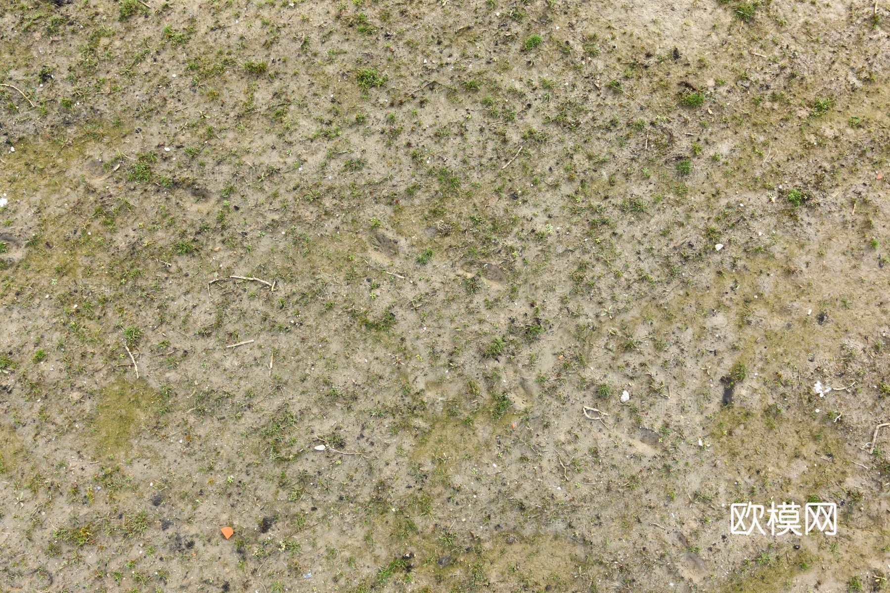 泥巴地面 地面