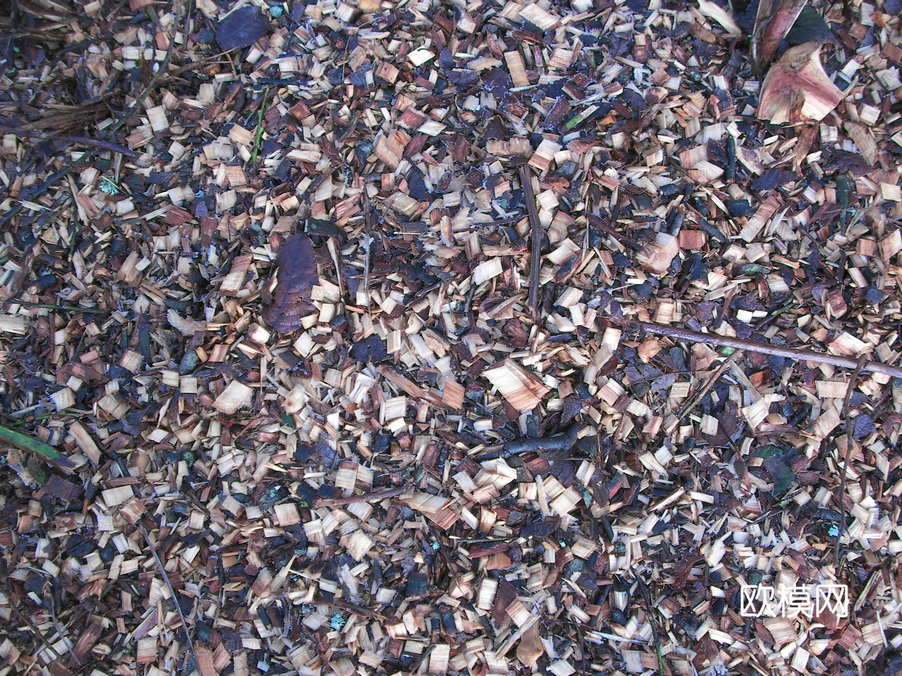 木屑地面下载