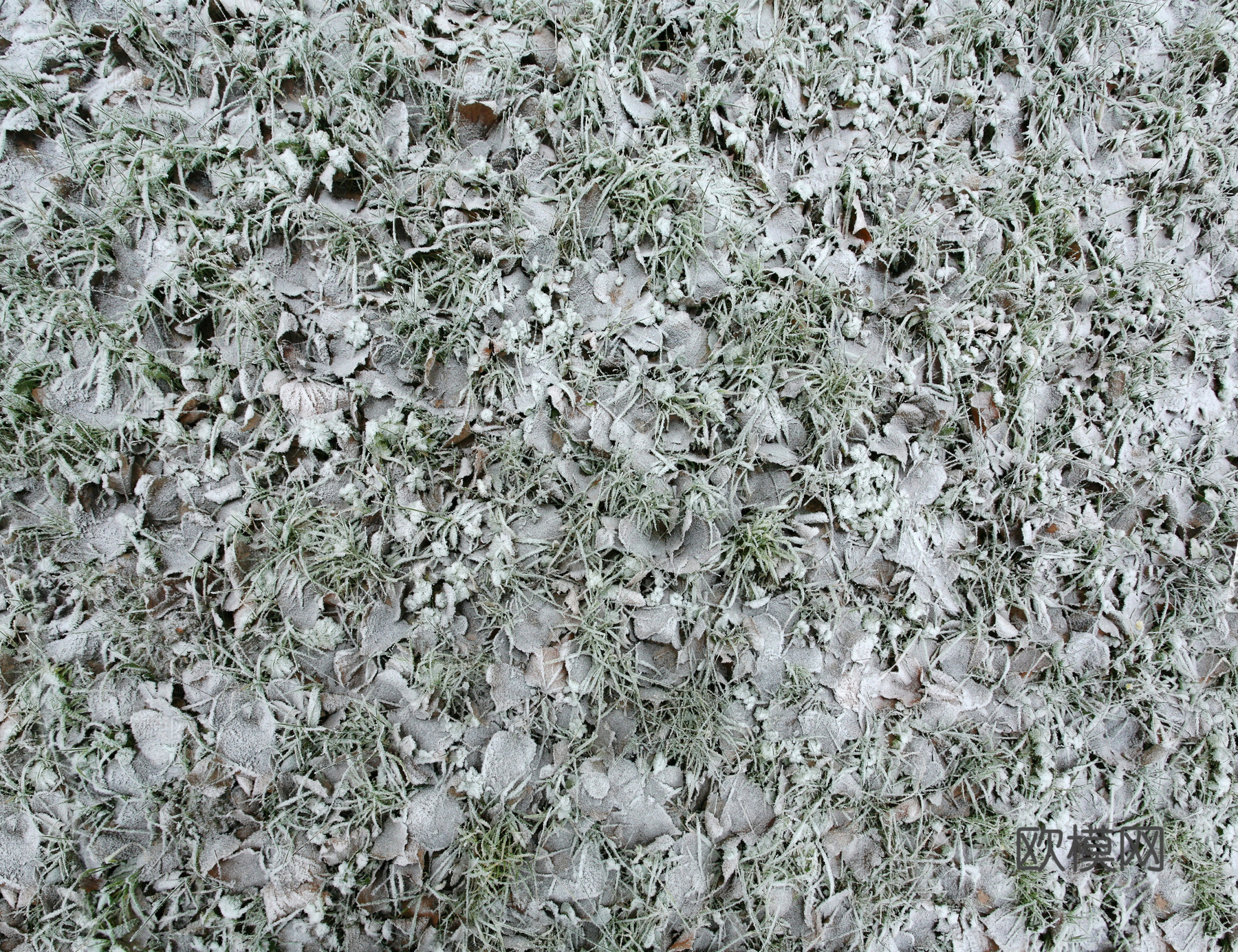 冰冻地面下载