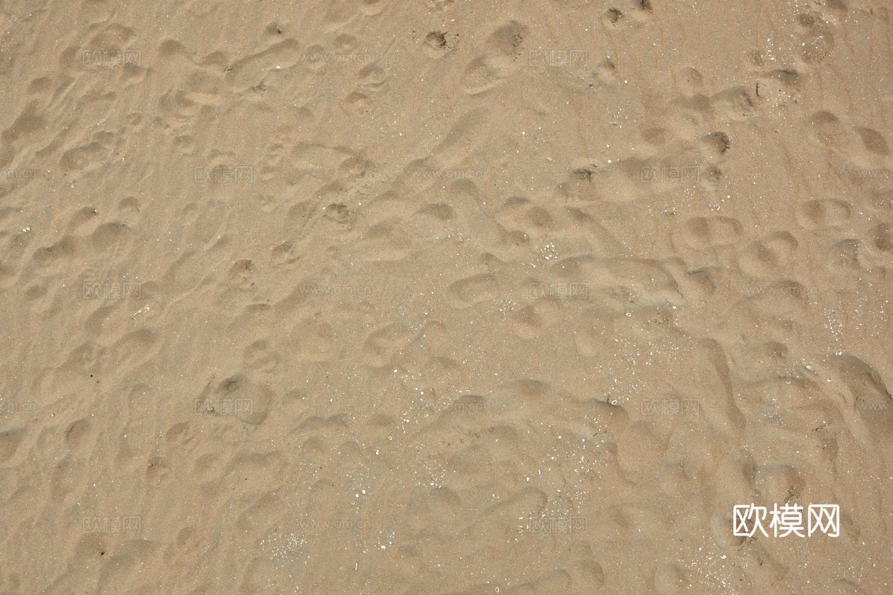 海滩沙滩下载