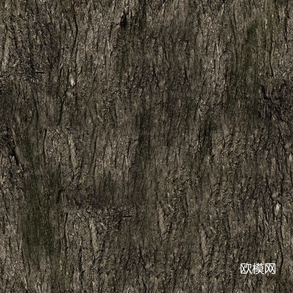 树干 旧木 树皮下载