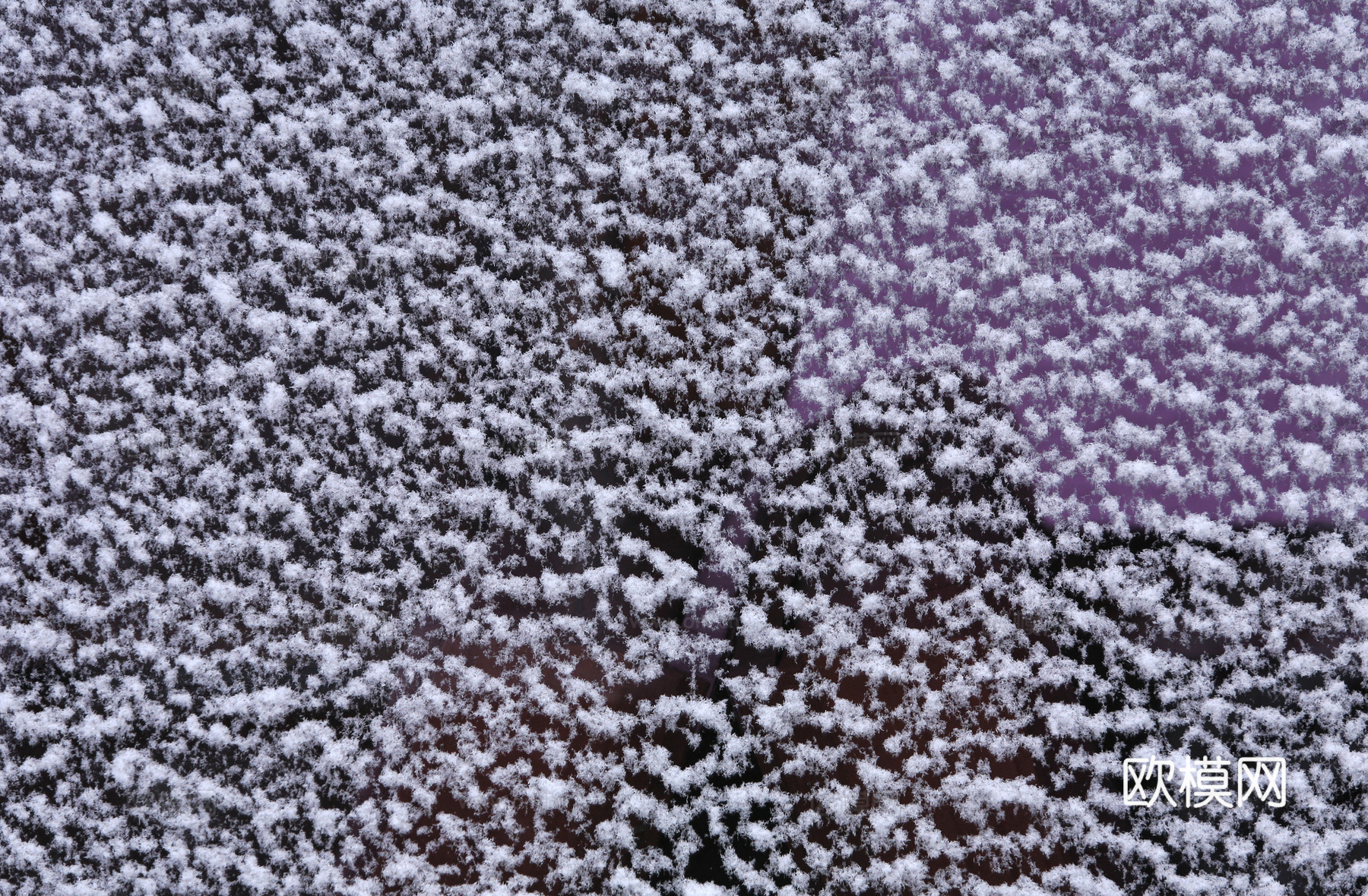 雪地地面 雪地