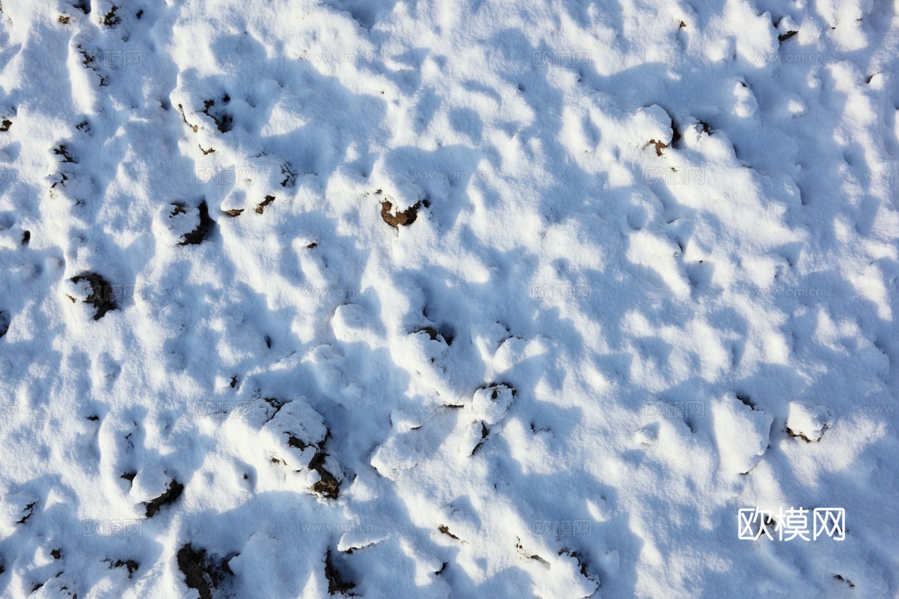雪地地面 雪地