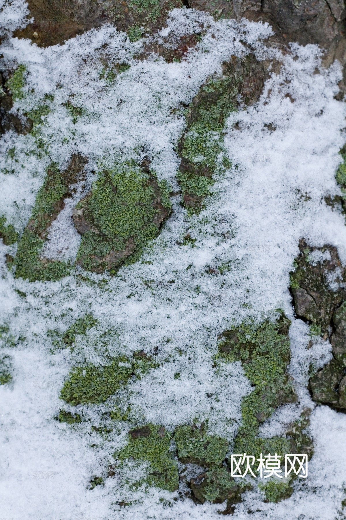 雪地地面 雪地