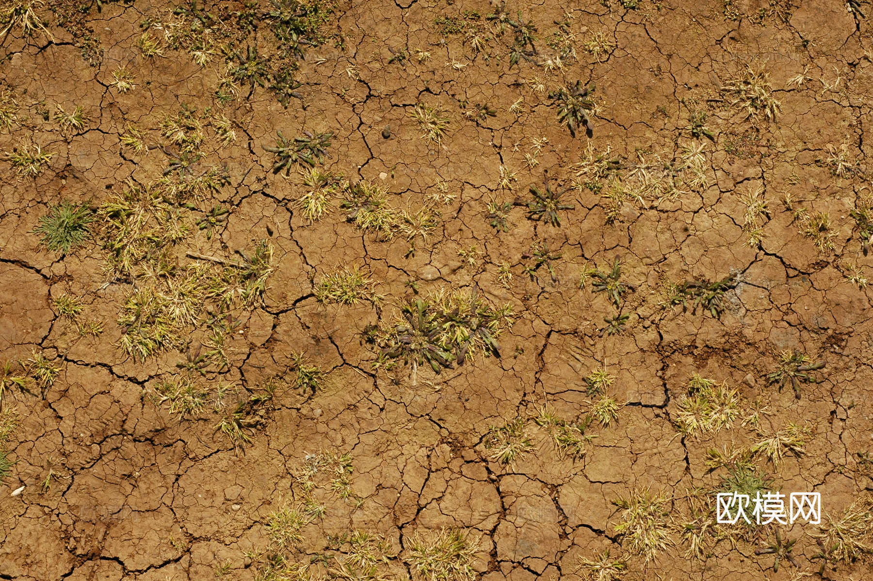 沙土地面  地面下载