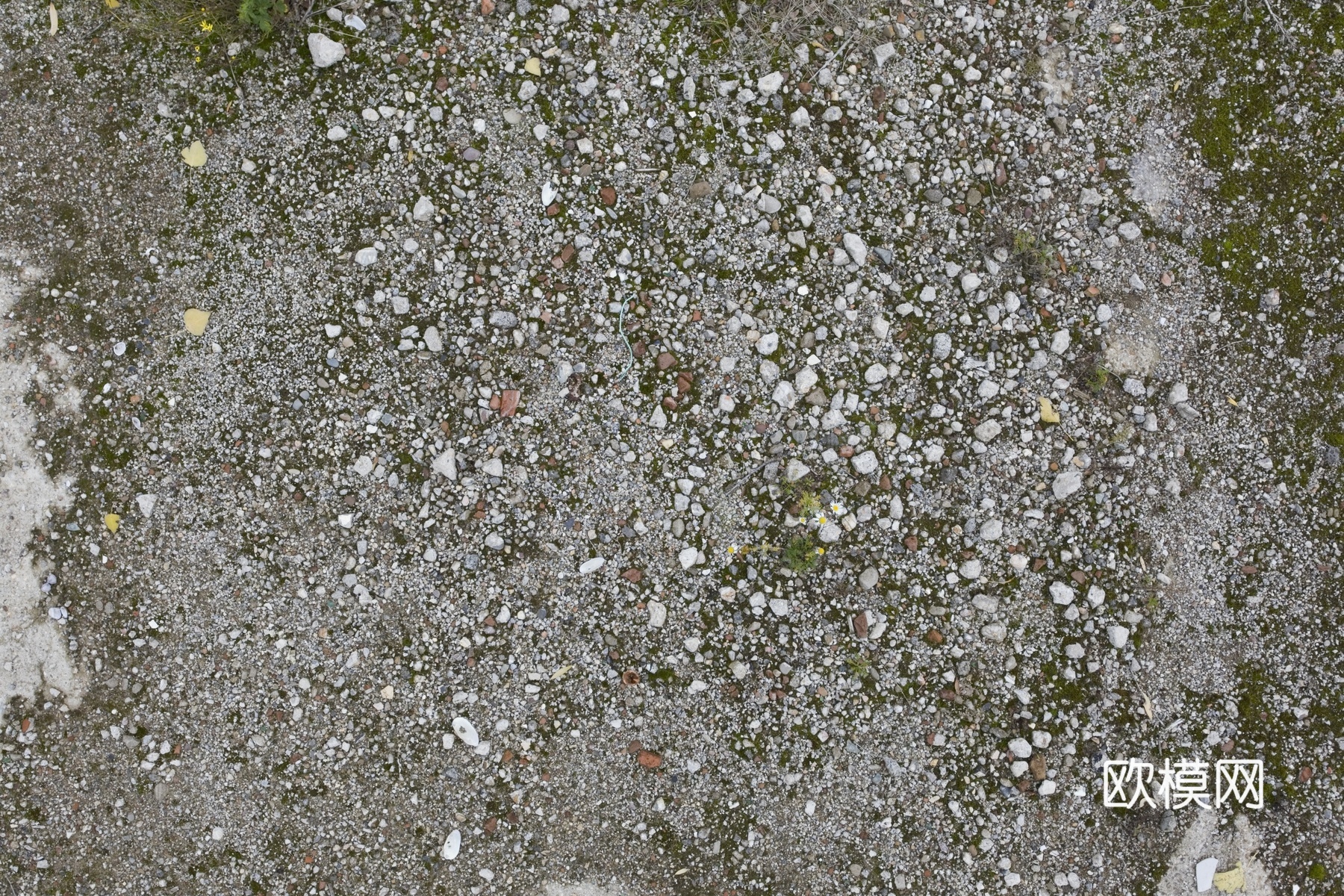 碎石  碎石头下载