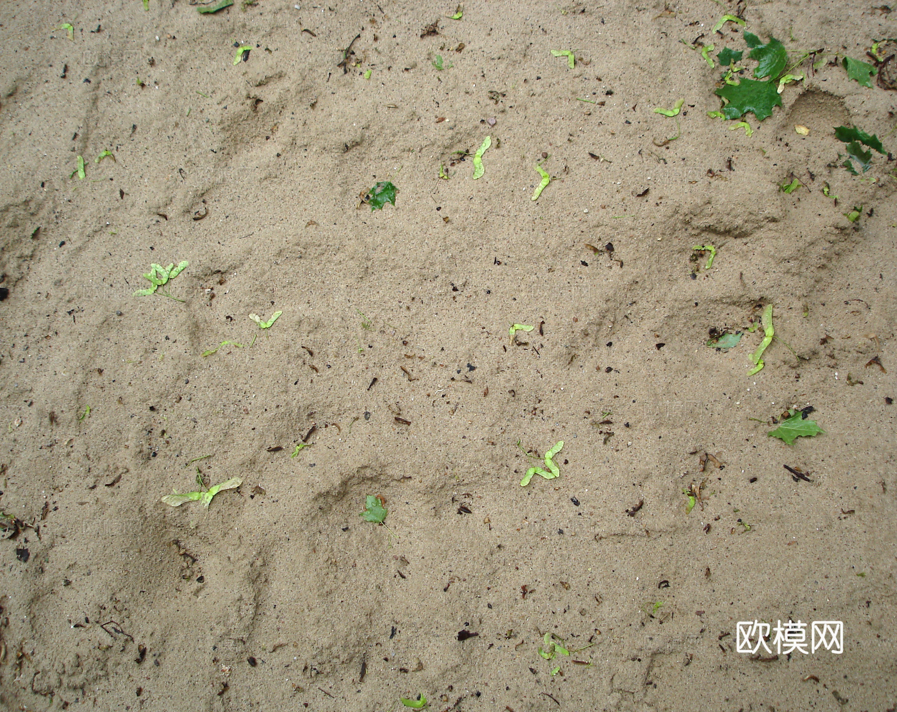 沙土地面  地面下载