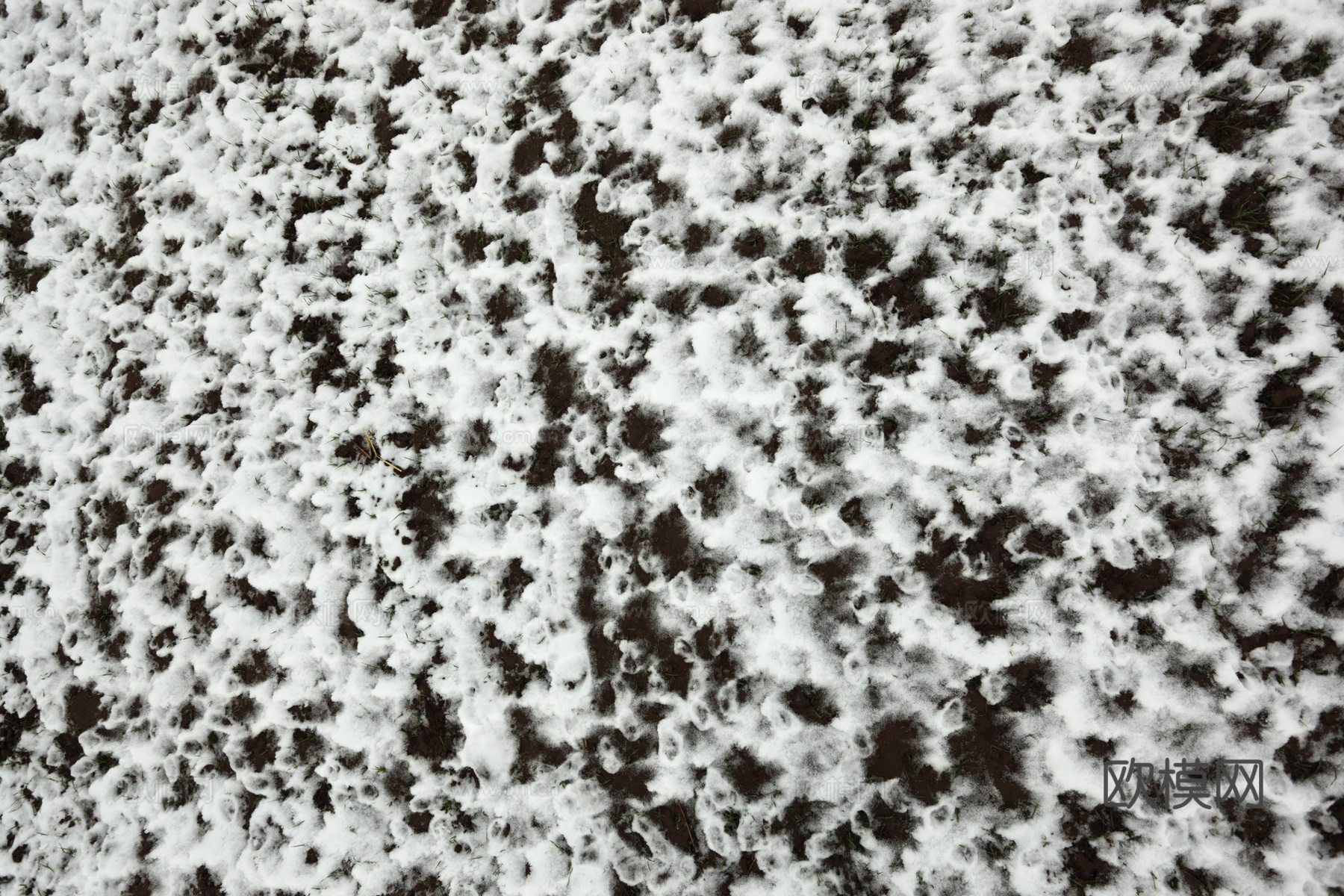 雪地地面 雪地