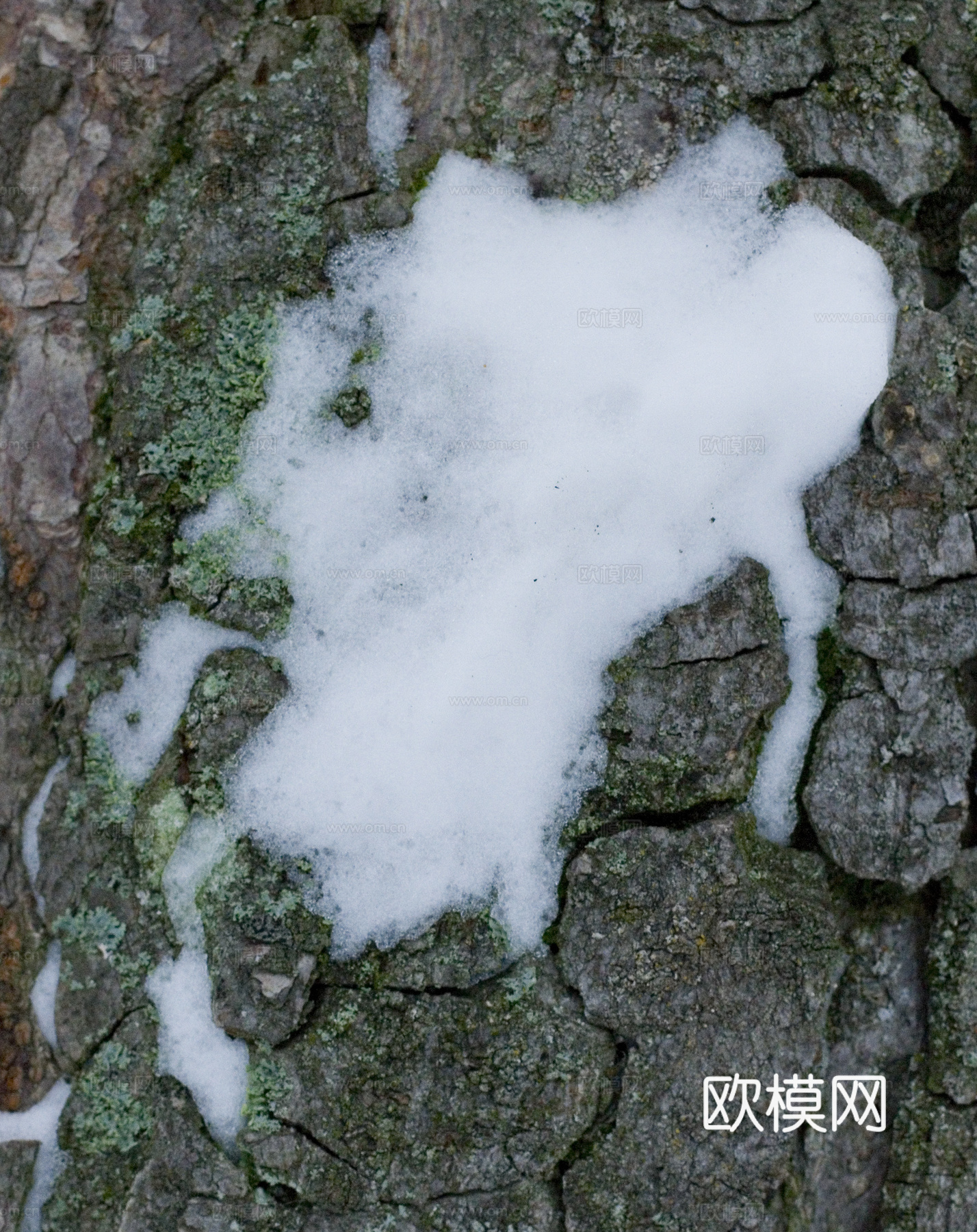 雪地地面 雪地