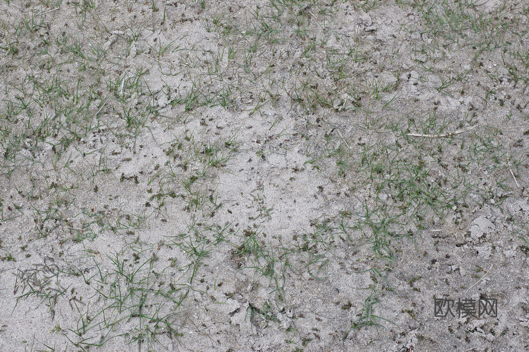 沙土地面  地面下载