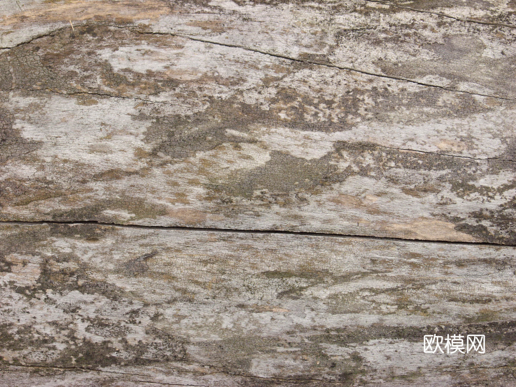 树干 旧木 树皮下载