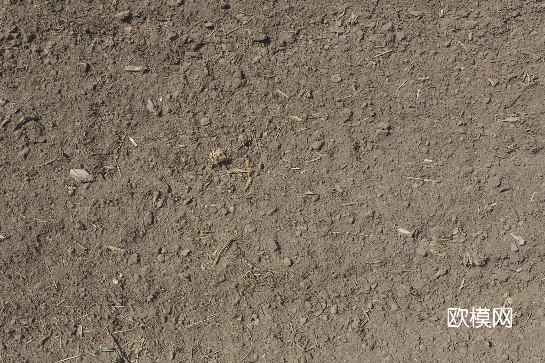 沙土地面  地面下载