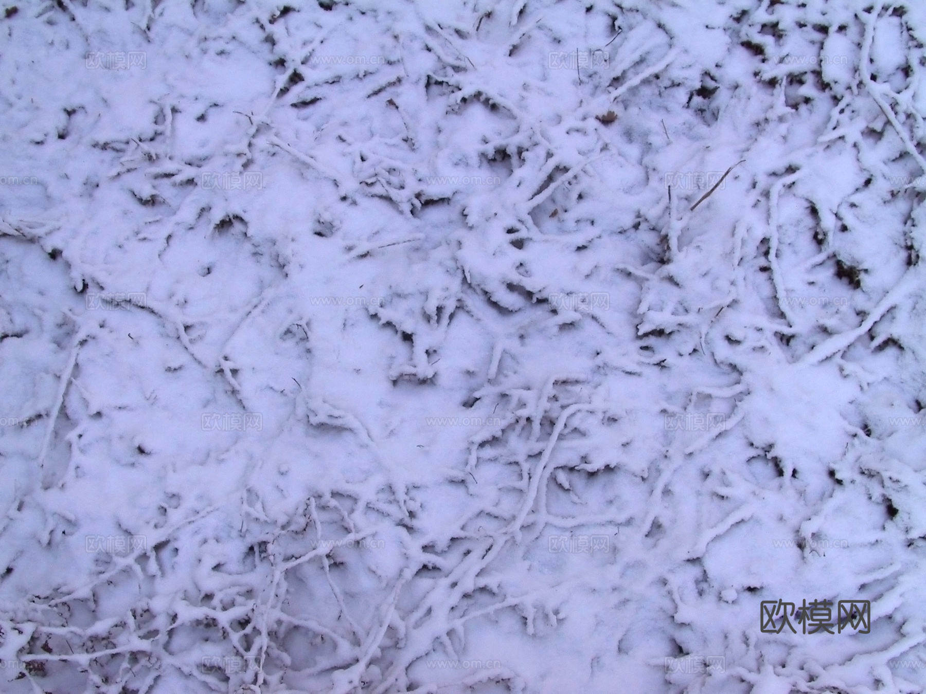 雪地地面 雪地