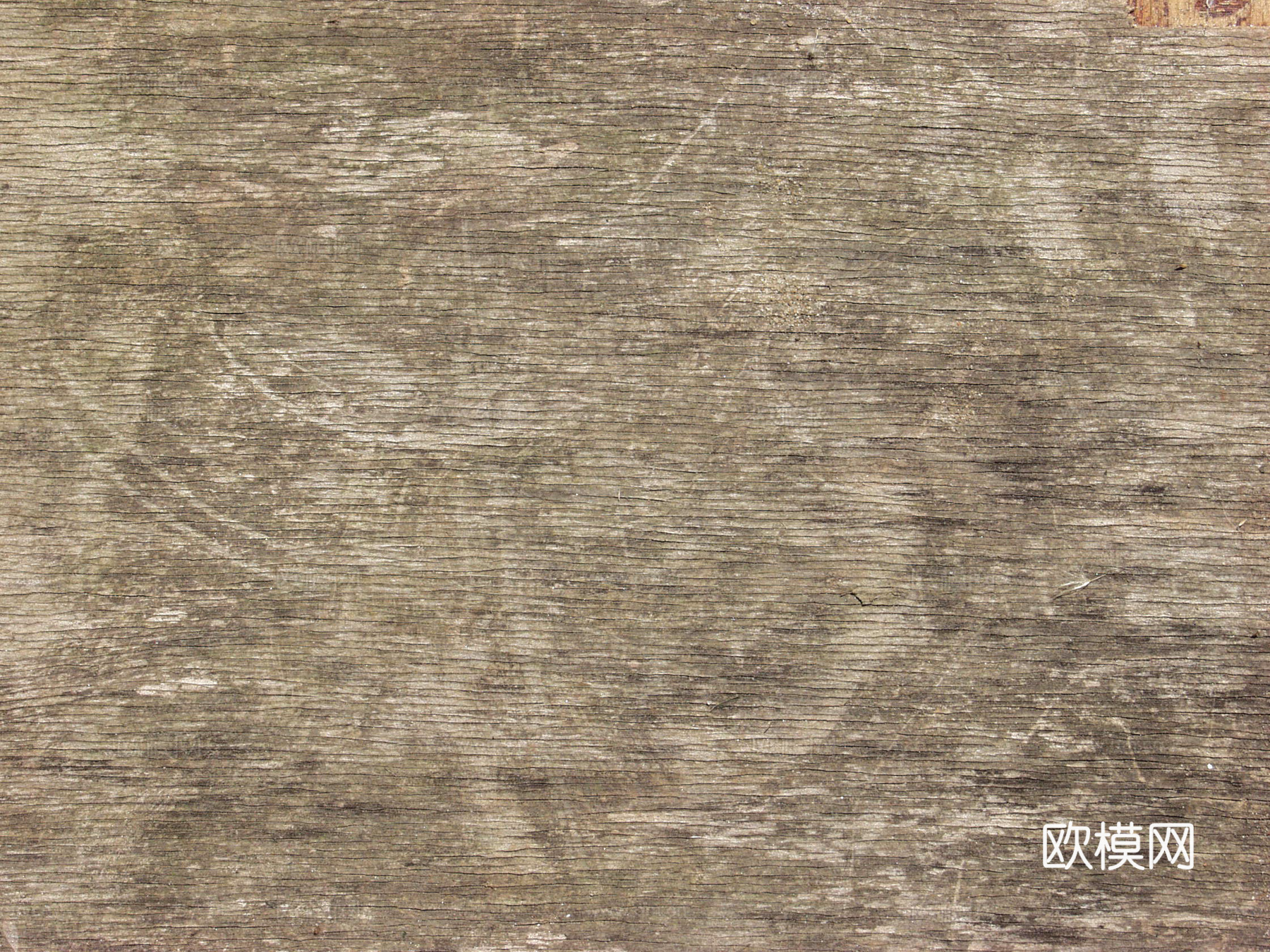 树干 旧木 树皮下载